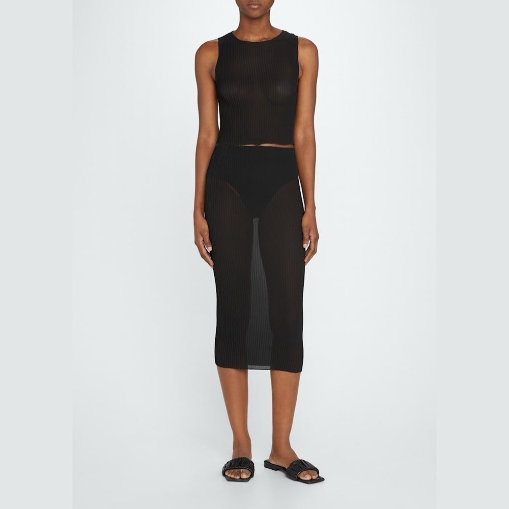 Anemos Pleated sheer skirt
